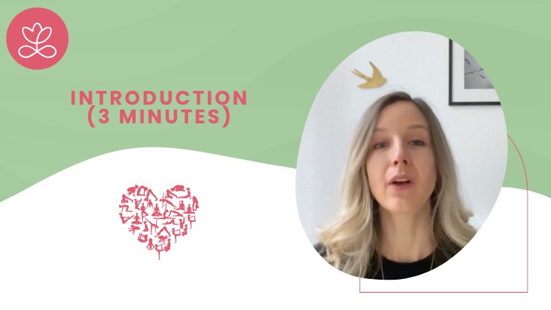 Introduction (3 minutes)